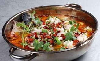 魚賜加盟費(fèi)與餐飲管理解析